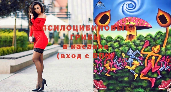 прущая мука Кулебаки