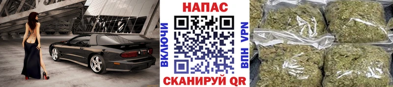 Купить закладки  Котельники  Бошки марихуана планчик 